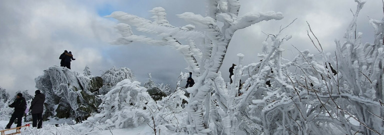 Verschneite Landschaft auf dem Feldberg
