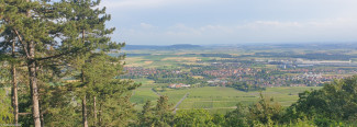 Der Schwanberg